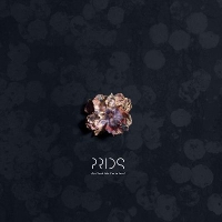 #8 - The Prids - Do I Look Like I'm In Love? The Prids - Do I Look Like I'm In Love?