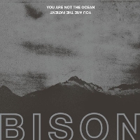 #3 - Bison - You Are Not the Ocean You Are the Patient Bison - You Are Not the Ocean You Are the Patient