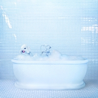 #2 - Frankie Cosmos - Vessel Frankie Cosmos - Vessel