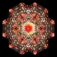 #5 - Gold Panda - Half Of Where You Live Gold Panda - Half Of Where You Live
