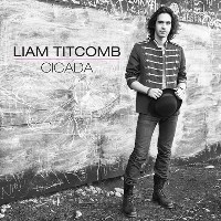 Liam Titcomb - Cicada