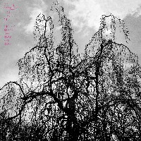 #1 - Colin Stetson And Sarah Neufeld - Never Were The Way She Was Colin Stetson And Sarah Neufeld - Never Were The Way She Was