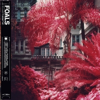 #2 - Foals - Everything Not Saved Will Be Lost - Part 1 Foals - Everything Not Saved Will Be Lost - Part 1