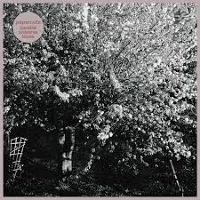 #5 - Papercuts - Parallel Universe Blues Papercuts - Parallel Universe Blues