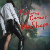 #4 - Perfume Genius - No Shape Perfume Genius - No Shape