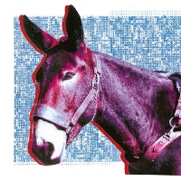 #4 - Protomartyr - Ultimate Success Today Protomartyr - Ultimate Success Today