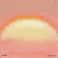 #9 - Purr - Like New Purr - Like New