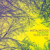 #2 - Metalwood - Twenty Metalwood - Twenty
