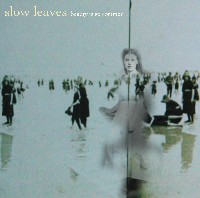 #6 - Slow Leaves - Beauty Is So Common Slow Leaves - Beauty Is So Common