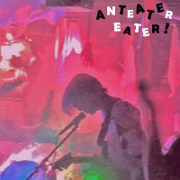 #5 - Anteater Eater - I Hate That I Do It But I'm Not Gonna Stop Anteater Eater - I Hate That I Do It But I'm Not Gonna Stop
