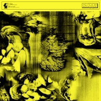 #7 - Oblique - Marche Moderne Oblique - Marche Moderne