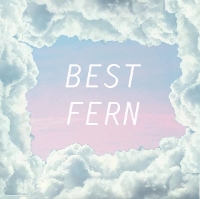 #6 - Best Fern - Best Fern Best Fern - Best Fern