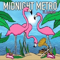 #6 - Midnight Metro - Flamingo Midnight Metro - Flamingo