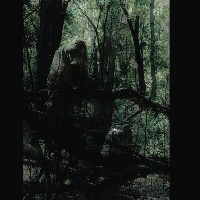 #11 - Anamai - Sallows Anamai - Sallows