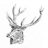#12 - Black Deer - Black Deer Black Deer - Black Deer