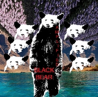 #4 - Amplified - Black Bear Amplified - Black Bear