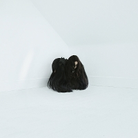 #5 - Chelsea Wolfe - Hiss Spun Chelsea Wolfe - Hiss Spun