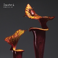 #4 - Daphni - Fabriclive 93 Daphni - Fabriclive 93