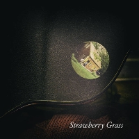 #11 - David R. Elliott - Strawberry Grass David R. Elliott - Strawberry Grass