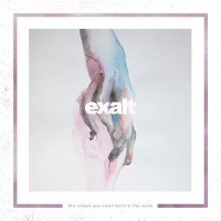 #4 - Exalt - The Shape You Took Before The Ache Exalt - The Shape You Took Before The Ache