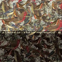 #2 - Megan Hamilton - Forty Warm Streams to Lead Your Wings Megan Hamilton - Forty Warm Streams to Lead Your Wings