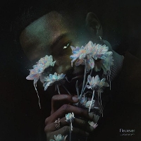 #1 - Jazz Cartier - Fleurever Jazz Cartier - Fleurever