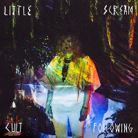 Little Scream - Cult Following