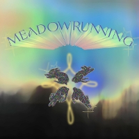 #8 - redress - meadowrunning redress - meadowrunning