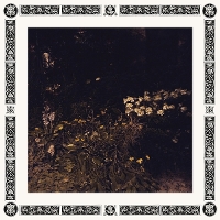 #19 - Sarah Davachi - Pale Bloom Sarah Davachi - Pale Bloom