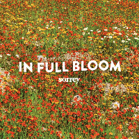 #3 - Sorrey - In Full Bloom Sorrey - In Full Bloom