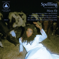 #4 - Spellling - Mazy Fly Spellling - Mazy Fly