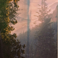 #3 - Evergreen - Whole Evergreen - Whole